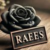 raees.zada480
