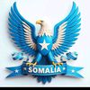 bashiir741