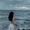 zlpp.m