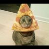 pizzasever8