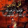 user7240212692834