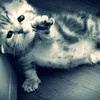 user19292992._