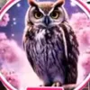 💔💎💜موكا لا تنام🦊🤍💔