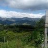 mirllan.marulanda