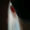 dino_4030