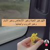zeinab.alkhatib