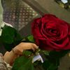 noor_noor_.g