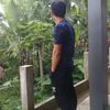 bapanabarudak8