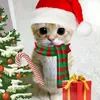 ___izskibidi