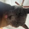 itz_alice088