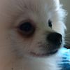 markthegoatcr7