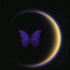 sharinet_02