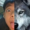 m.mann__1