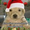 fina.herrera0