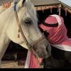 شاعــــر :حايــل