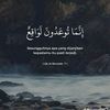 ahmad.arham47