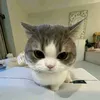 tunglam_232