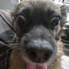 bobsmagicpickle21
