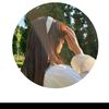 user97861586146