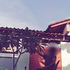 maayaa3608