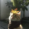 Justunumeow