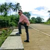 darwin_manisan