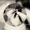 spmoon7