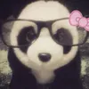 pach_glaxy