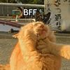 felixandhanfan