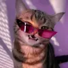 kitkatkittyyliy