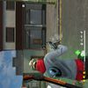 kungnek_498