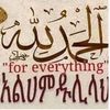 user491091412026