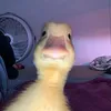 heyy_idk00