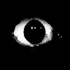 eduard0_u