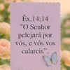 leticiasanto054