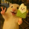 sery.neang90