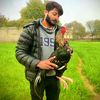 mian.g.da.shok