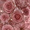 user1361000753438