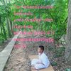 user7190523702886