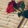 farid.bouchekioua