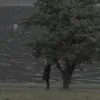 5nn_80