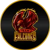 team.falcones