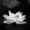 cnghong668