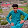 jani_alam