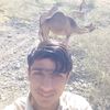 ali.gul9597