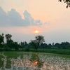 .khokhar450tiktok.com