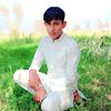alihassan6610468