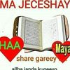dacad.ala.aamin15