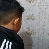 faj_368