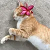 mimimimi11121